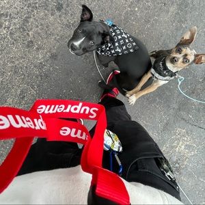 Meet your Posher, Kirk